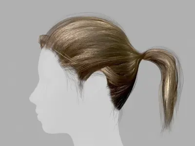 Realtime Hair Ponytail Low-poly 3D model