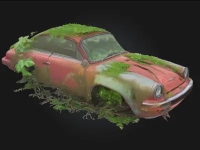 Natures Embrace  Where Stone Meets Life 3D model