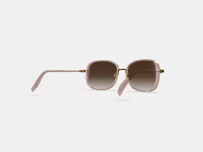 Fernanda Sunglasses in Antique Rose with Polished Gold Low-poly 3D model