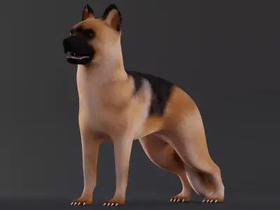 Dog German Shepherd Low Poly Model Game AR VR Low-poly 3D model