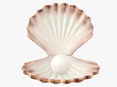  Seashell with pearl inside 3D model