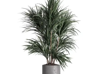indoor plant 045 3D model