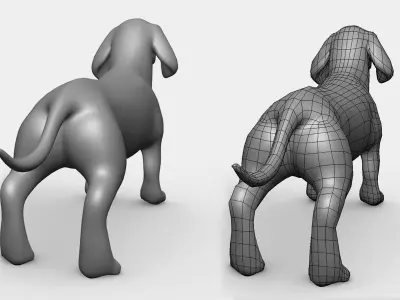 Dachshund Dog BaseMesh Low-poly 3D model