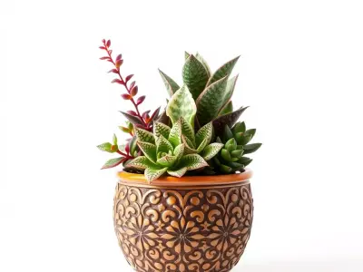 Ornate Terracotta Planter model pack Low-poly 3D model