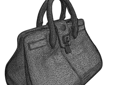Luxury Crocodile Leather Handbag Low-poly 3D model