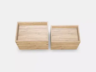 DRAGAN  -4  Low-poly 3D model