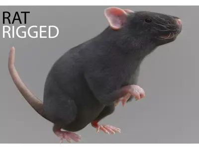 RET FOR VFX CGI 3D model