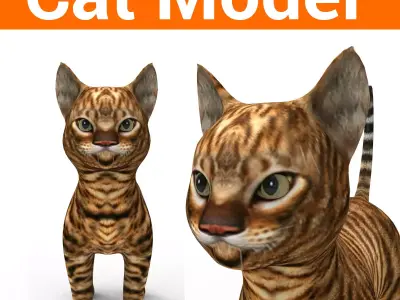 3d Wild Cat low poly  Low-poly 3D model