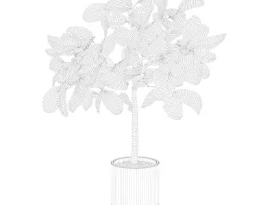 Ficus benghalensis  in terrazzo flower pot 3D model