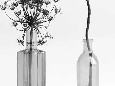 Bouquet Set 01 Vase Glass Dry Hogweed 3D model