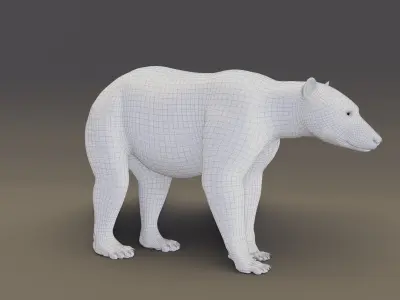 Polar Bear 3D model