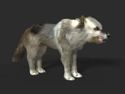 WOLF FUR MODEL 3D model