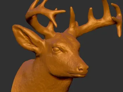 Raindeer Head 3D print model