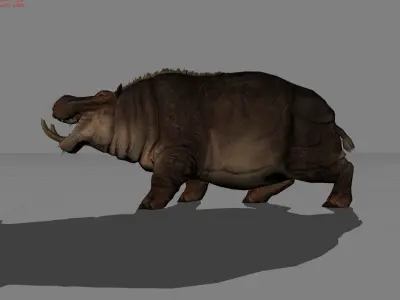 Hippopotamus Animal Low-poly 3D model