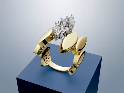 Handmade 2-Piece Ring 3D print model