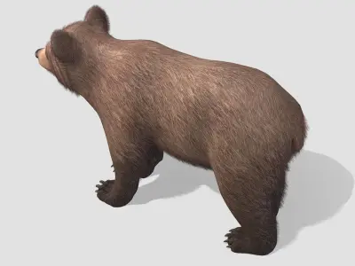 BEAR - CUB Low-poly 3D model