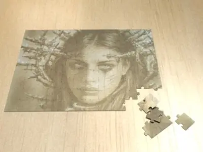 Jigsaw Puzzle 108 pieces 3D model