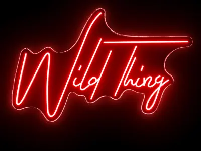 Wild Thing Neon Sign 3D model