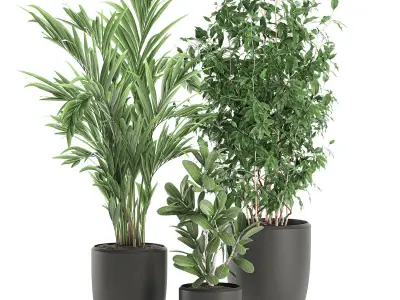 Decorative plants in a white flowerpot 567 3D model