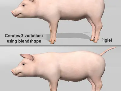 Pig and Piglet 3D model