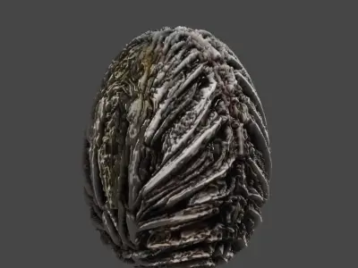 Realistic high quality Alien Egg PBR 3D model