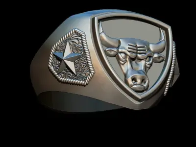 Chicago bulls ring 3D print model