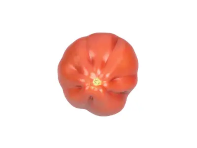 Photorealistic Oxheart Tomato 3D Scan 3D model