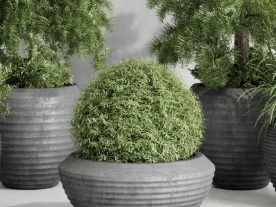 outdoor plant set 179 plant topiary tree pine grass vase Low-poly 3D model