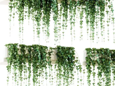 Ivy on the shelves 11 models 3D model