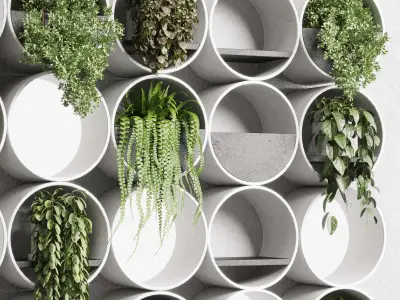 wall plant  set Indoor plant concrete wall vase 3D model