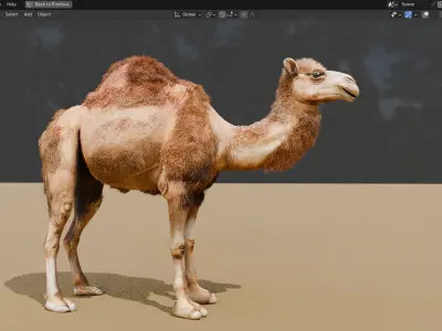 High-Quality 3D Camel Model Low-poly 3D model