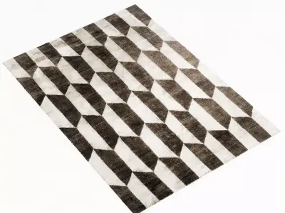 baxter FIFTIES TRAPEZOID RUG 3D model