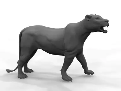 female lion 3d model 3D model