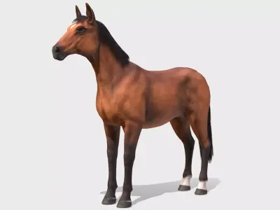 Horse realistic Low-poly 3D model