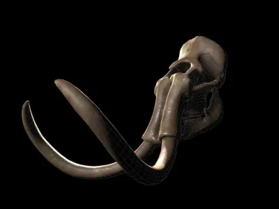 Woollly Mammoth Complete Skeleton System 3D model
