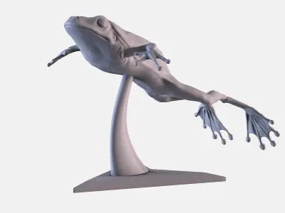 Frog 3D Printing 3D print model