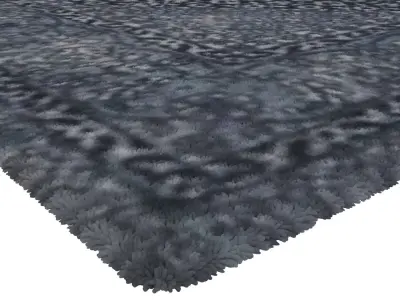 Rug Set 1581 3D model