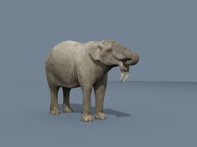 Deinotherium Thraceiensis HD - 3d animated 3D model