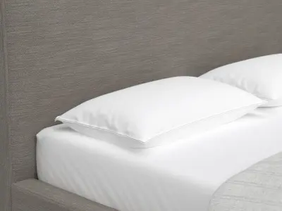 Cloud Low Profile Bed 3D model