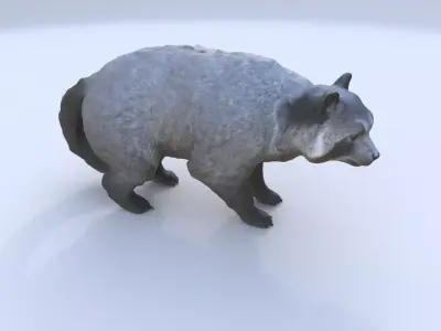 Binturong 3D model