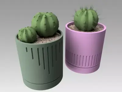 Flowerpot with cactus 3D model