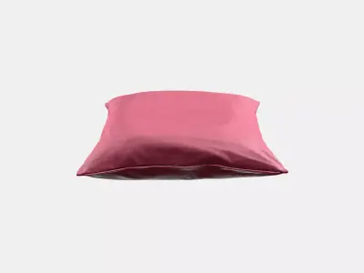 SANELA Cushion cover 8 Low-poly 3D model