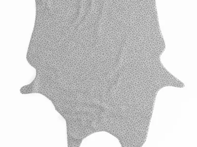 Black And White Cow Skin Rug 3D model