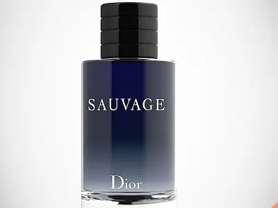 DIOR SAUVAGE 3D model