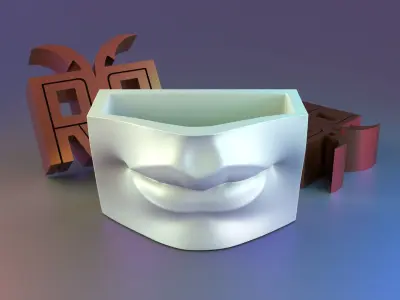 david lip and eye pencil case 3D print model