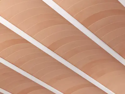 MAJORCAN CURVED CEILING 3D model