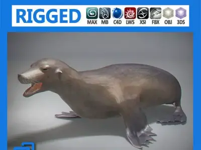 Rigged Seal 3D model