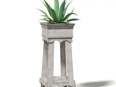 Aloe in Wooden Planter 3D Model 3D model