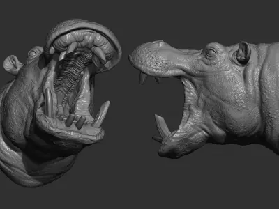 Hippopotamus head 3D print model