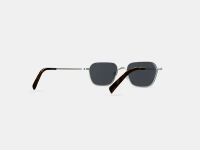 Healey Sunglasses in Polished Silver 3D model